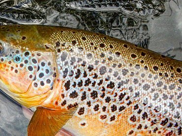 timthumb-4 timthumb-4