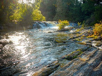 La gestione della T.W.S.