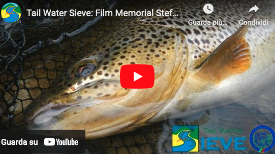 Video Memorial Stefano Pavarelli 2013 ❒ tailwatersieve.it