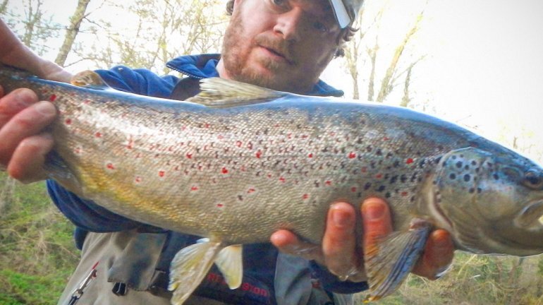 Pesca con la Mosca ❒ tailwatersieve.it